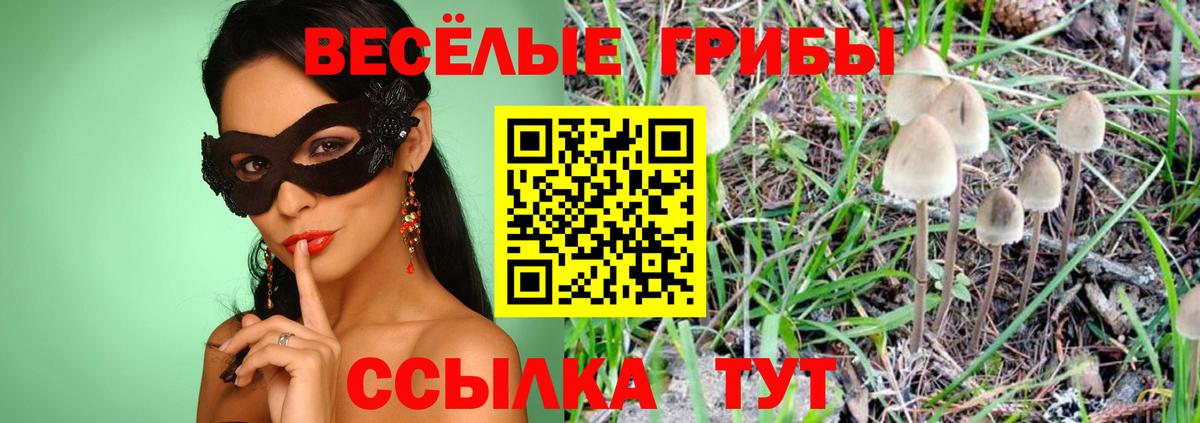 Галлюциногенные грибы прущие грибы Надым