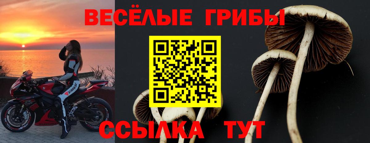 Надым  Галлюциногенные грибы Magic Shrooms  Вход с VPN 
